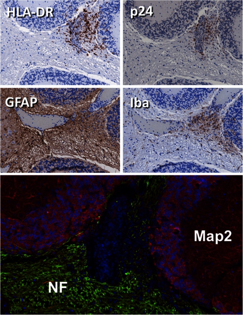 Fig. 6