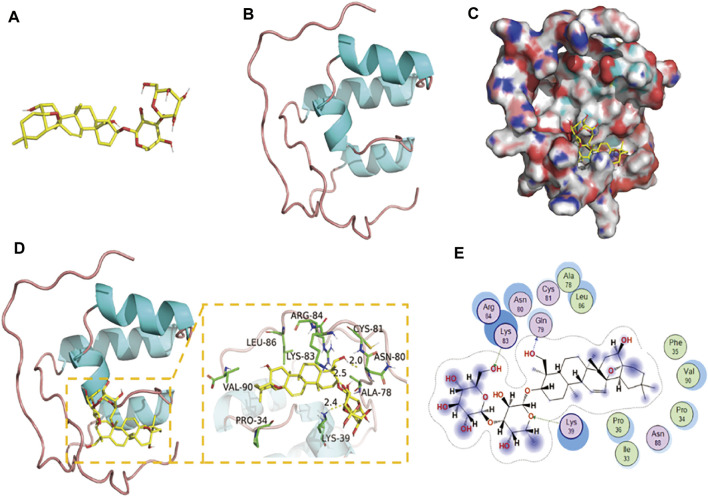 FIGURE 4