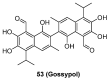 Figure 24