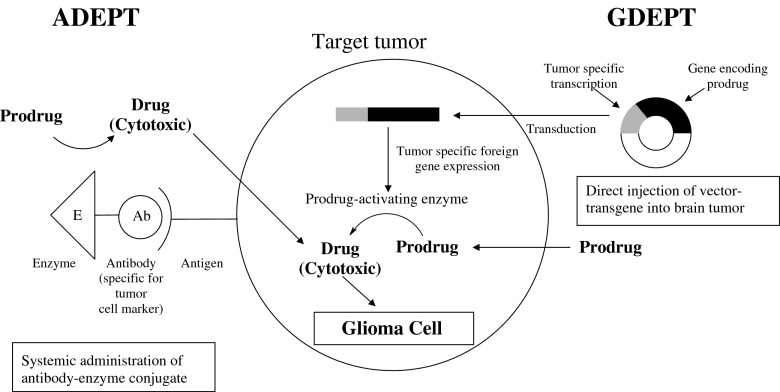 Fig. 7