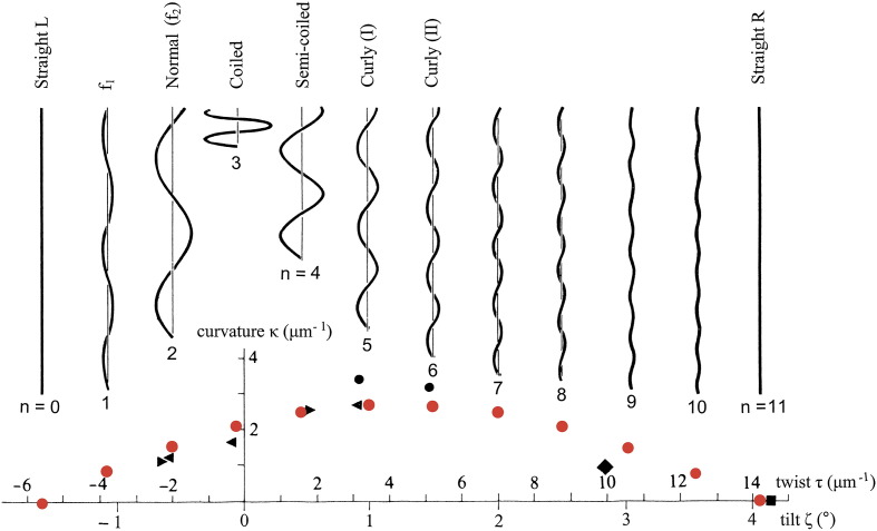 Fig. 1