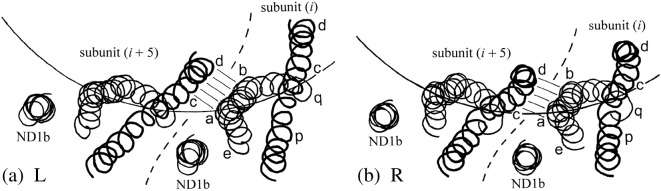 Fig. 4