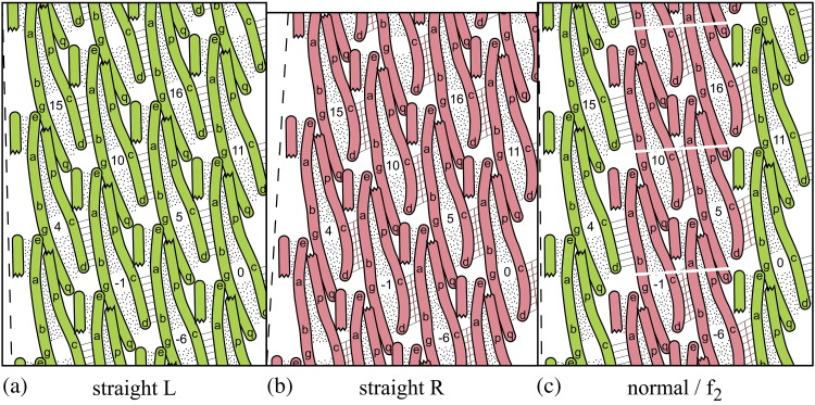 Fig. 3