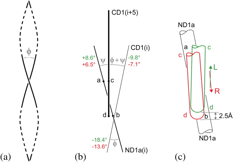 Fig. 8