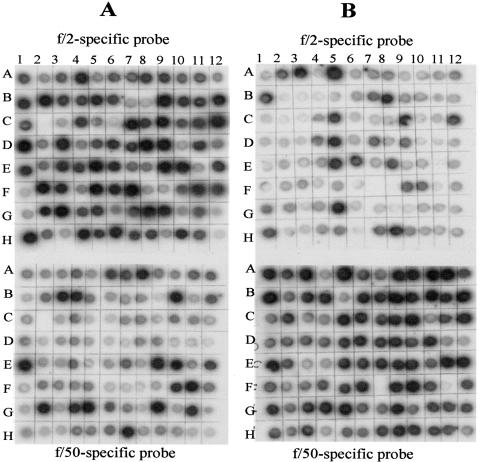 FIG. 2.