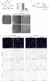 Extended Data Fig. 9