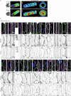 Extended Data Fig. 8