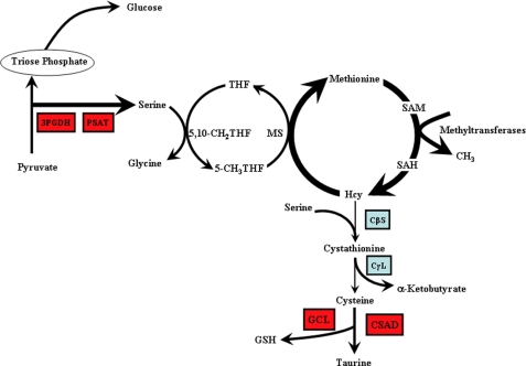 FIGURE 9.