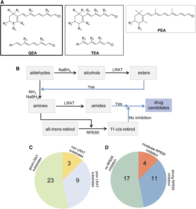 Expansion Of First-in-class Drug Candidates That Sequester Toxic All 