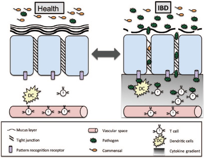 Figure 2.