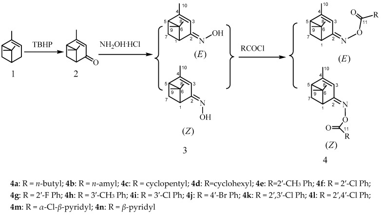 Scheme 1