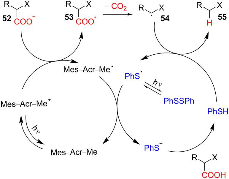 Scheme 19