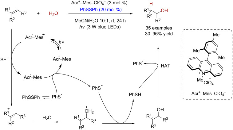 Scheme 17