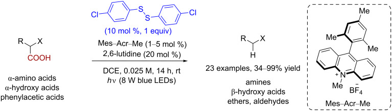 Scheme 18