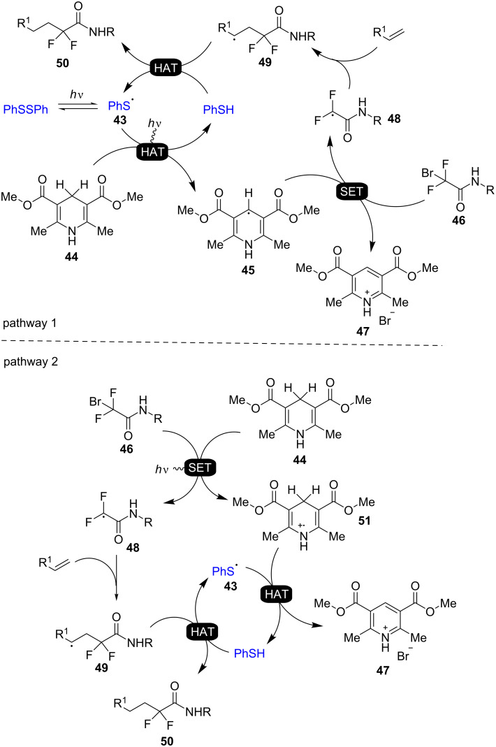 Scheme 16