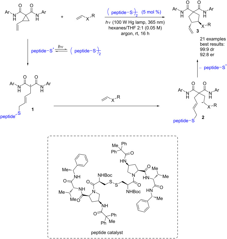 Scheme 3