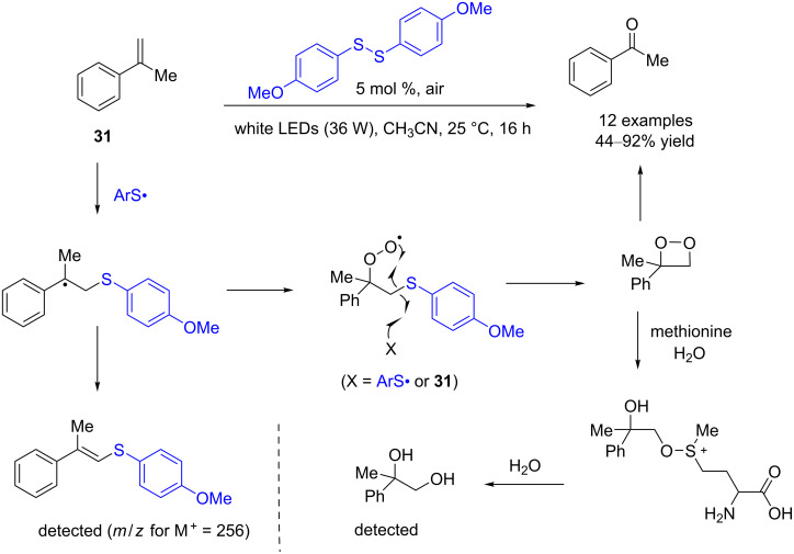 Scheme 9