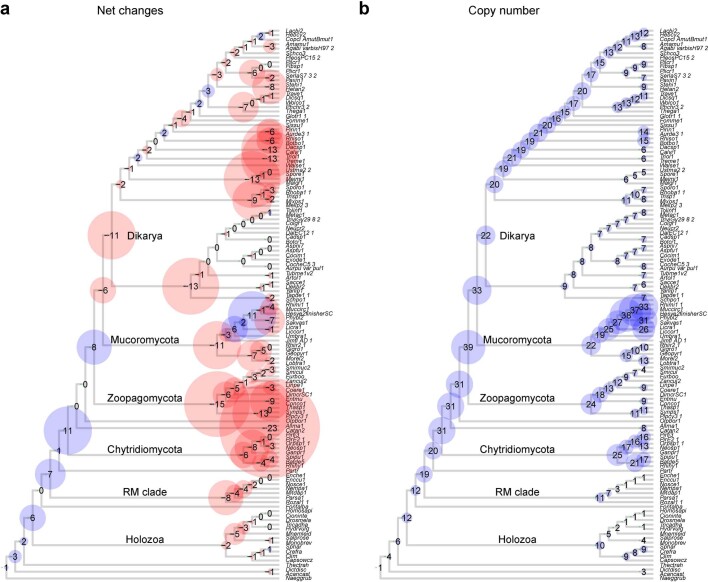 Extended Data Fig. 5