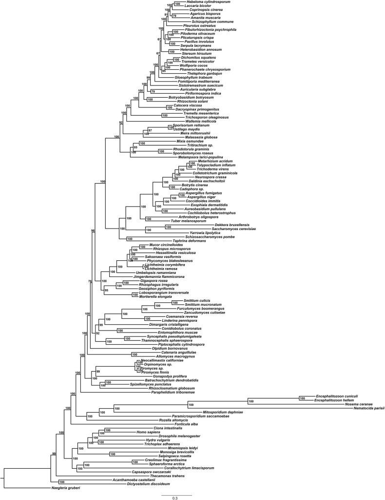 Extended Data Fig. 1