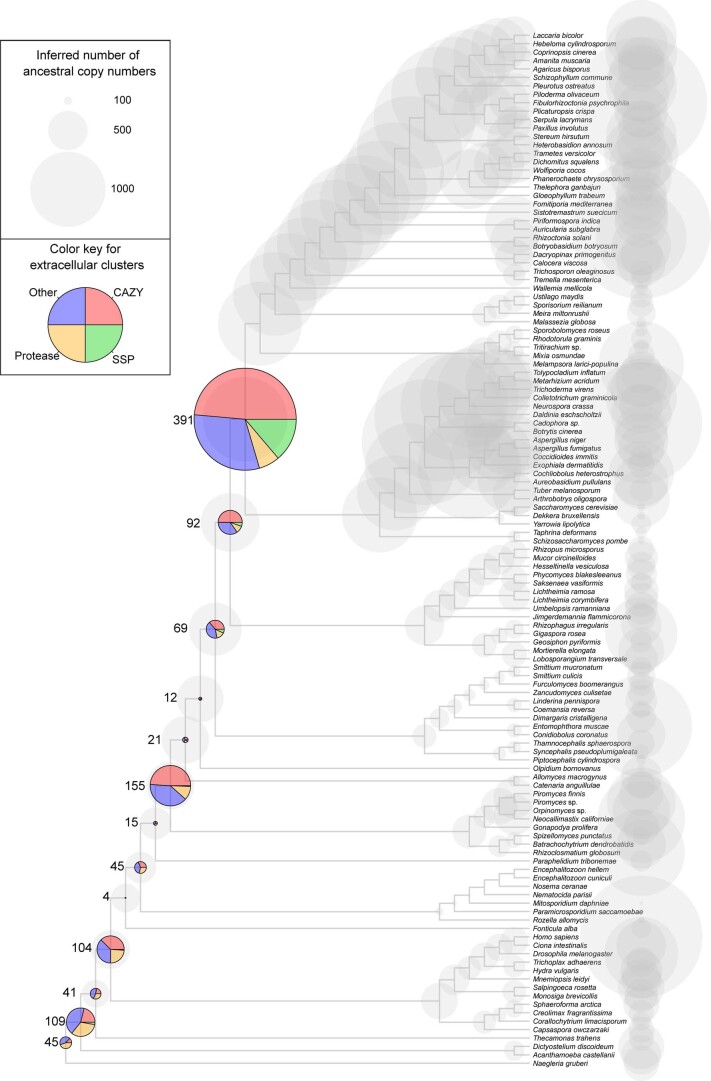 Extended Data Fig. 6