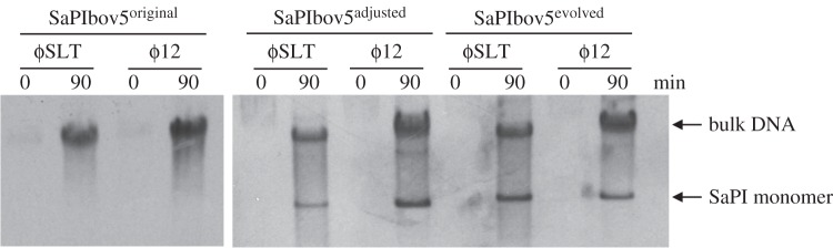 Figure 2.