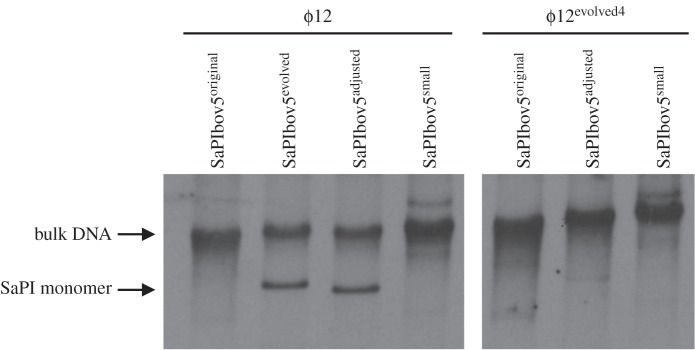 Figure 6.