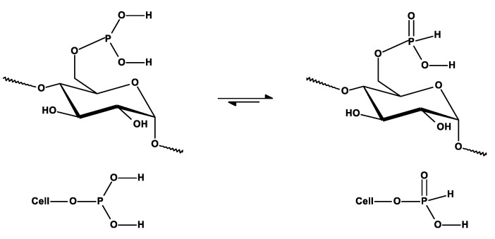 Figure 8