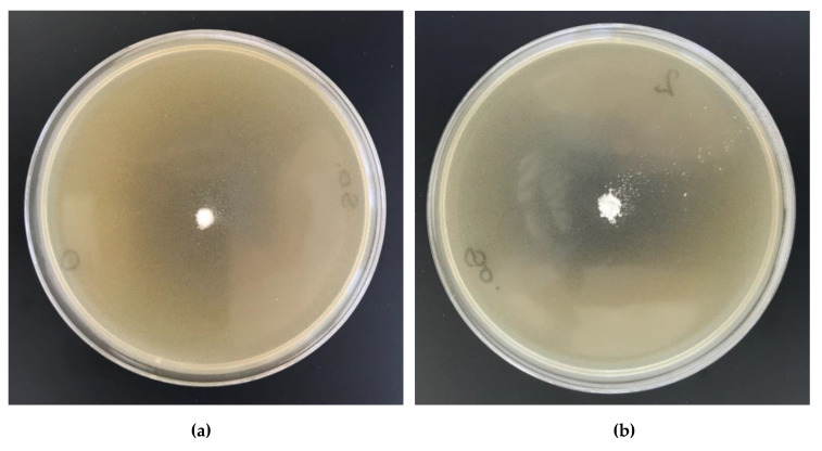 Figure 18