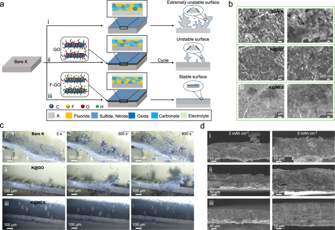 Building electrode skins for ultra-stable potassium metal batteries - PMC