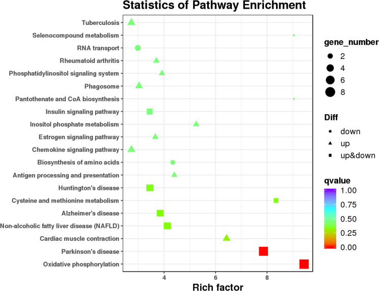 Figure 6