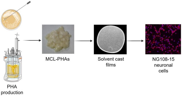 graphic file with name rbad063f8.jpg