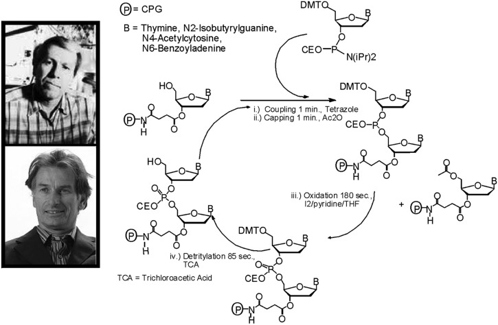 FIGURE 4.