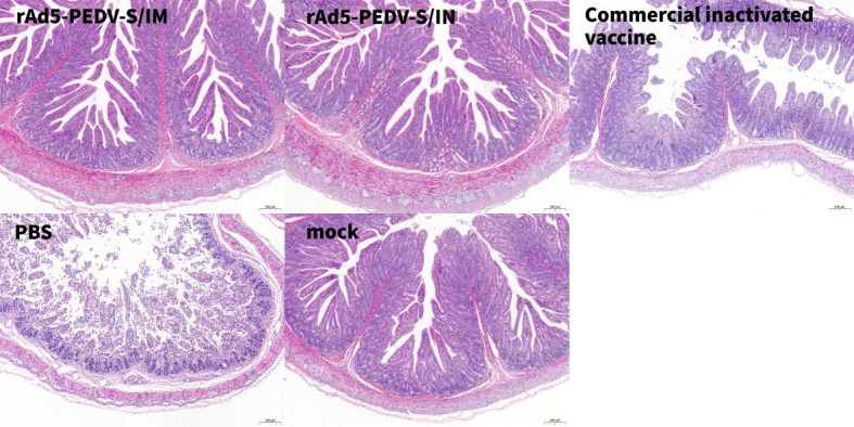 Fig 4