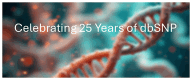 Graphical Abstract