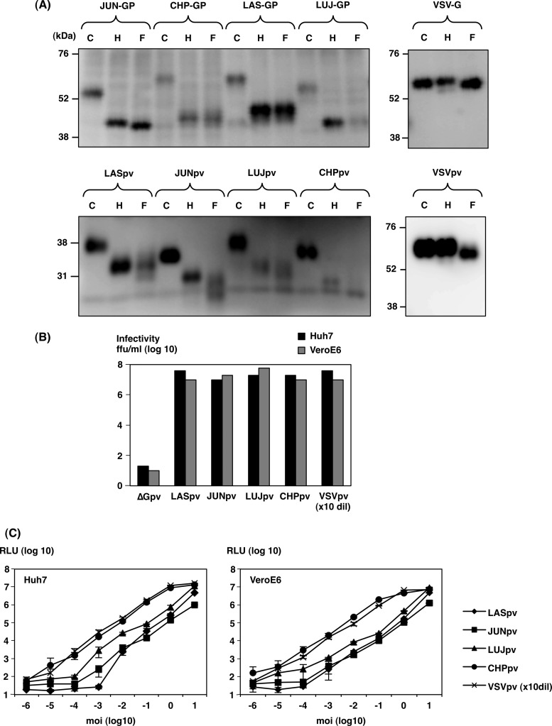 FIG 1