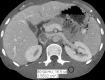 Figure 4a