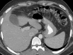 Figure 10a