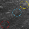 Figure 6b.