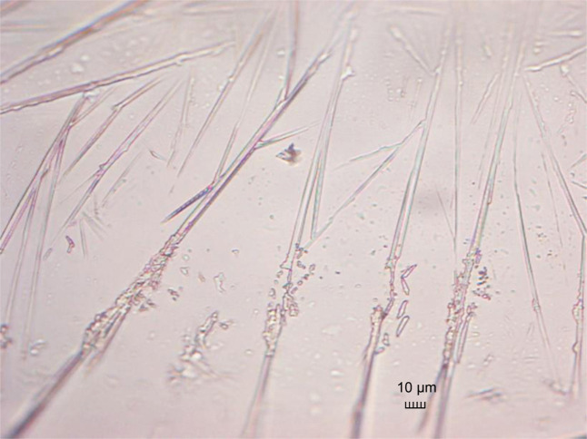 Fig. 9.