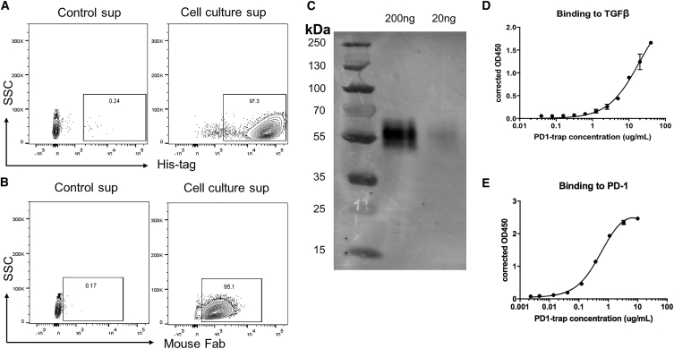 Figure 2