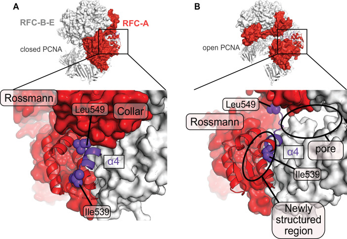 Figure 4.