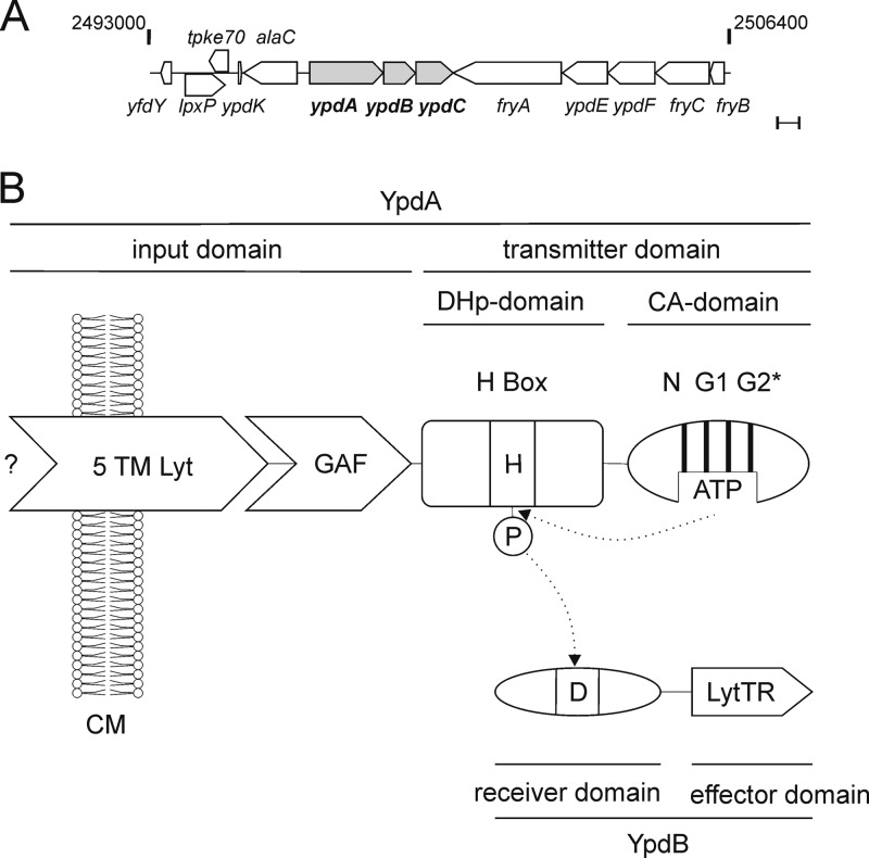 Fig 1