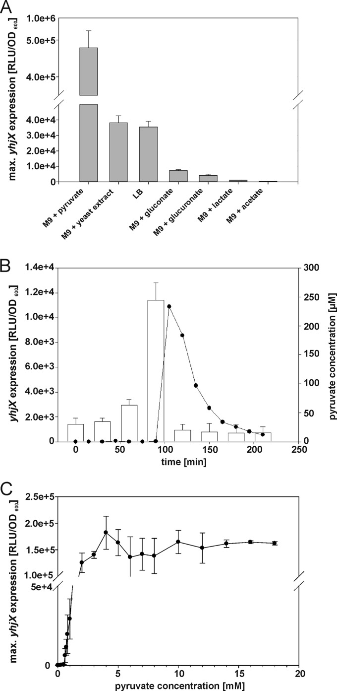 Fig 5