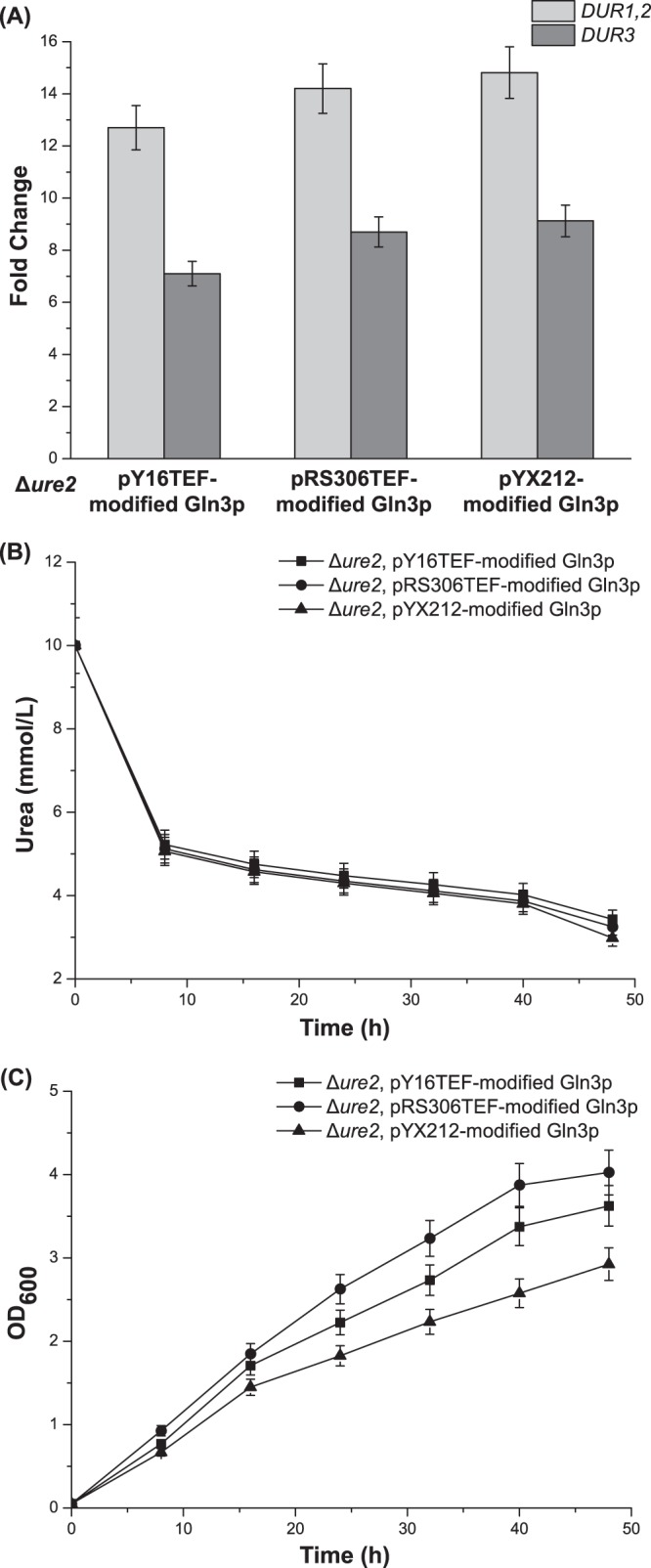 FIG 4