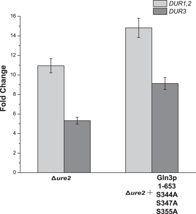 FIG 2