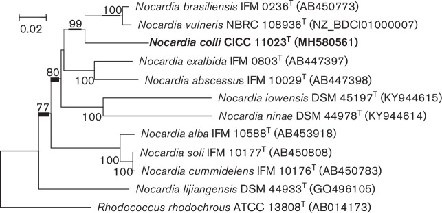 Fig. 2.