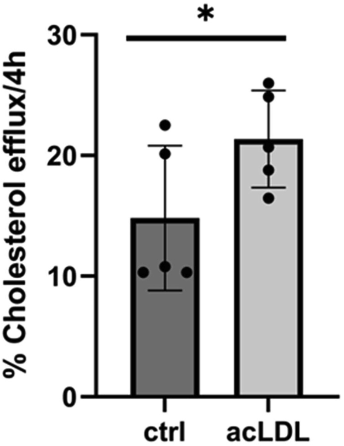 Figure 5