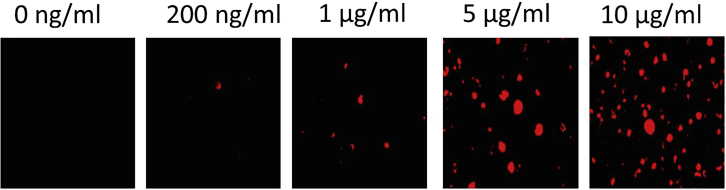 Figure 3