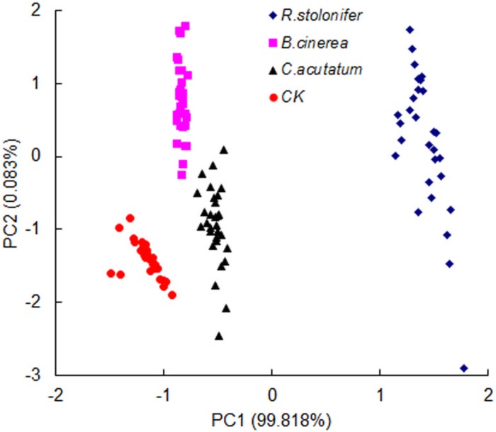 Fig 6