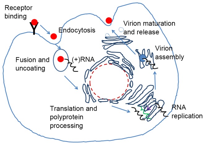 Figure 2.